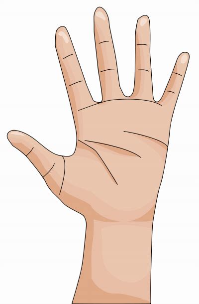 Palmistry: Paano manghula ng kamay? Pagbasa ng Palad at Kapalaran