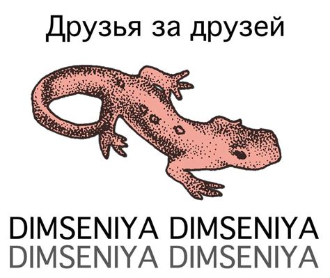 Dimseniya | Friends for Friends : Various Artists | Dimseniya