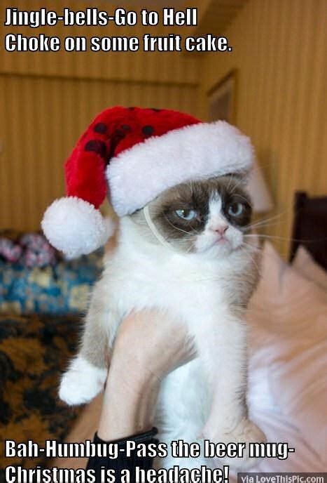 Funny Grumpy Cat Christmas Meme Pictures, Photos, and Images for ...