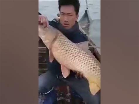 Необычная рыбалка в Китае😲😲😲 - YouTube
