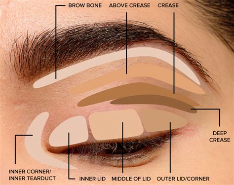apply eye makeup  beginners mugeek vidalondon