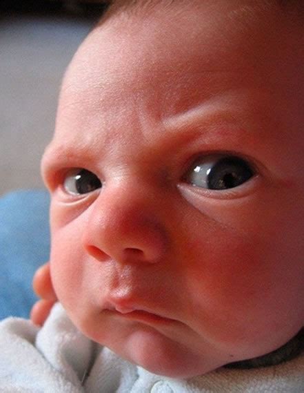 Angry Baby Faces