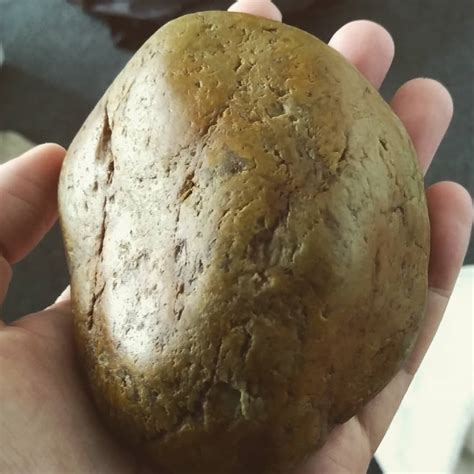 zealand jade rocks minerals  fossil forum