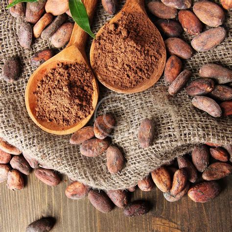 Roasting Cacao Beans – A Flair For Fudge