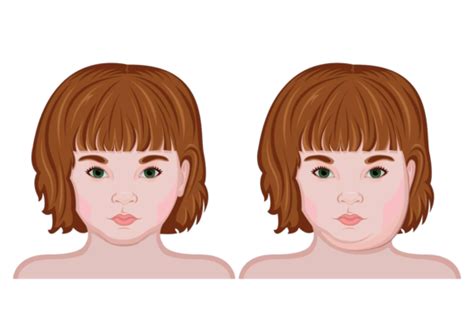 Parot PNG Transparent Images Free Download | Vector Files | Pngtree