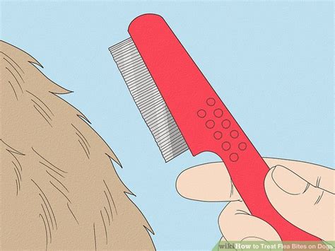 how to treat flea bites on dogs naturally