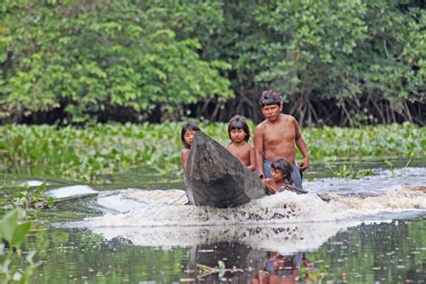 Orinoco Delta - 3 days for 2024 and 2025. - Ollami.com