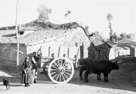 Herramientas de transporte: carro (España) - Museo de Ecología Humana ...