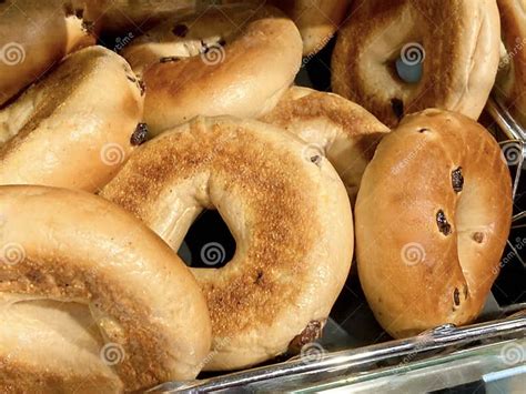 Fresh Hot Raisin Bagels stock photo. Image of ready - 340161126