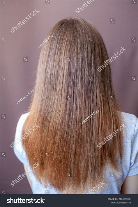 Girl Long Straight Beautiful Brown Hair Stock Photo 2164050661 ...