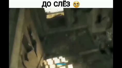 Цікава історія про кота до сльоз. - YouTube