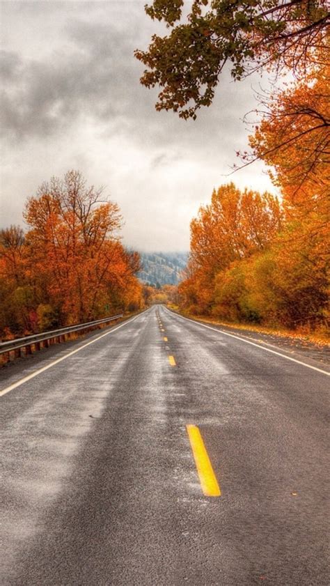 Wallpaper Road, trees, autumn 1920x1200 Picture, Image