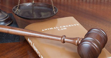 animal rights law firms