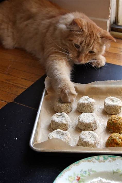 Шкодливые котики, которых поймали на горячем