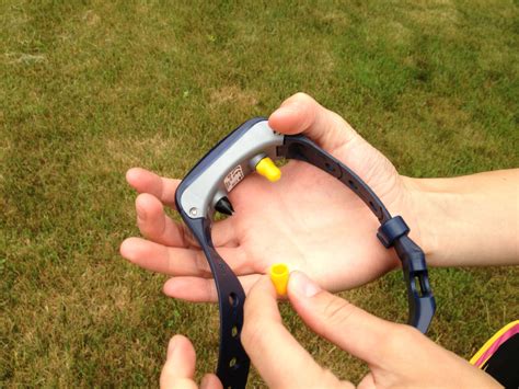 Shock Collar Operation at Rebecca Leon blog