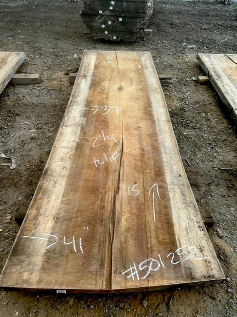 KD Tulip poplar Live edge Lumber (#501252) – can-am logs & lumber