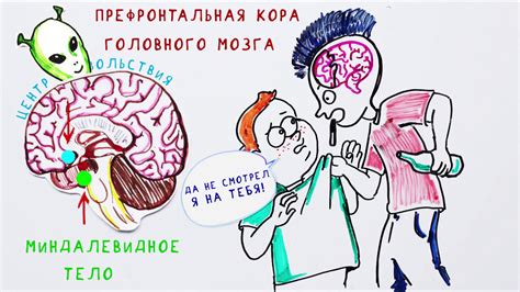 Почему быть подростком трудно? - YouTube