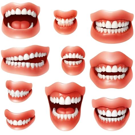 row   types  teeth including    quot  word