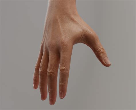 high resolution human arm female flippednormals