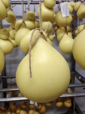 Сыр Скаморца "Scamorza Reginella" - Волосовская Сыроварня
