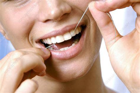 flossing stock image  science photo library