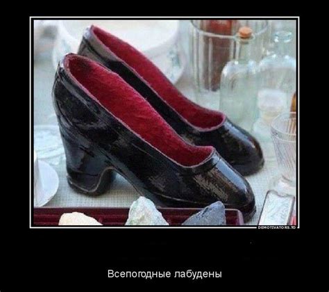 Демотиваторы-63