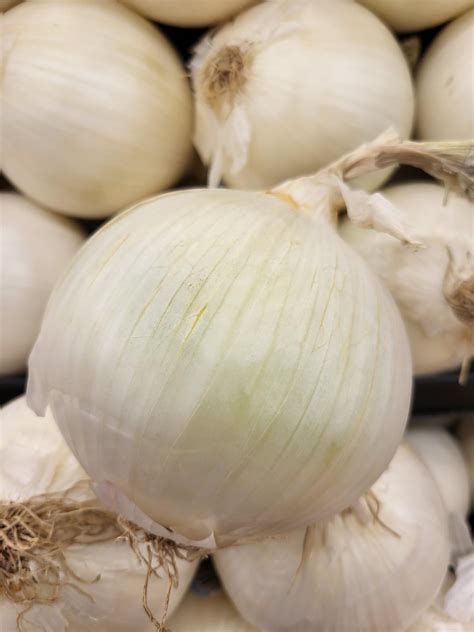 An onion : r/notinteresting