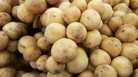 lansium parasiticum  longkong stock image image  grocery fruit