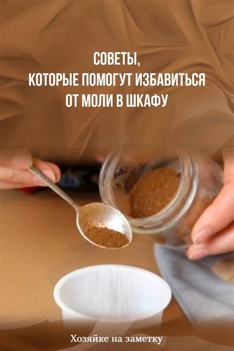Советы, которые помогут избавиться от моли в шкафу... | Интересный ...
