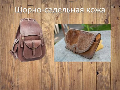 Кожа. Виды кожи - online presentation
