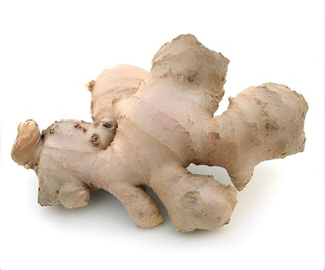 Ginger Reduces Risk of Colon Cancer