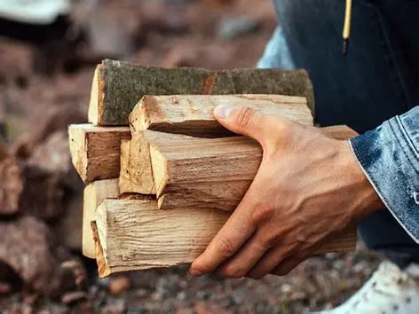 Купити дрова колоті оптом, з доставкою по всій Україні