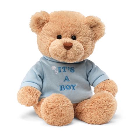 It's a Boy Teddy Bear
