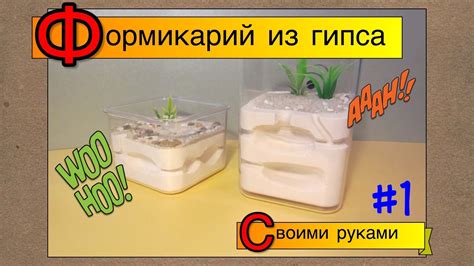 Формикарий из гипса своими руками // Выпуск 1 - YouTube