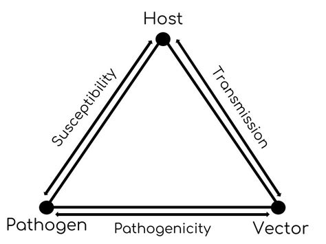 science diagram quizlet