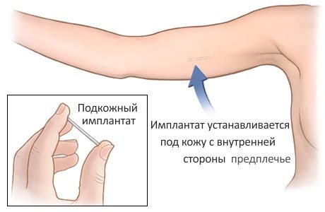 Прейскурант