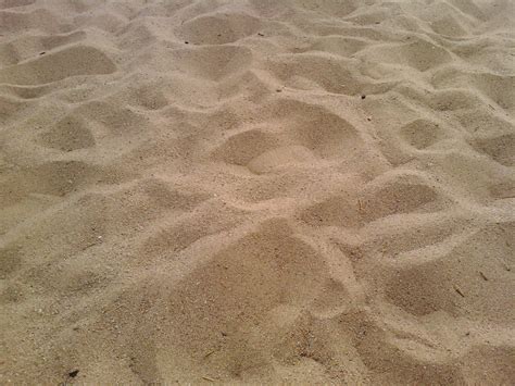 pasir pantai perumperindocoid