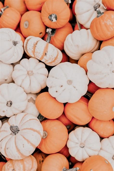 33 Cozy Free Fall Wallpapers For Your Phone