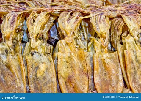 Close up dry squid. stock photo. Image of asia, tentacle - 62744332
