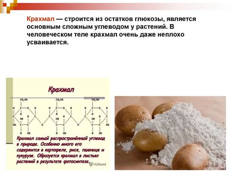 Углеводы и их роль и значение в жизни человека - презентация онлайн