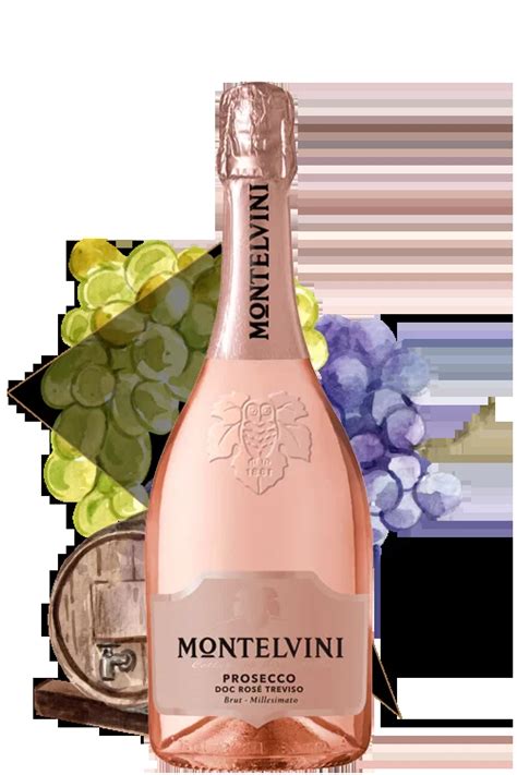 Montelvini Prosecco Rose Millesimato Brut – Whisky House @ Molek