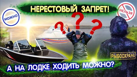 Нерестовый запрет. Можно ли ходить на лодке с мотором в запрет? Правила ...
