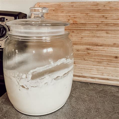 how to use sourdough starter 1