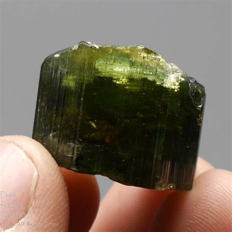 green tourmaline verdelite crystal  california  fossil cartel