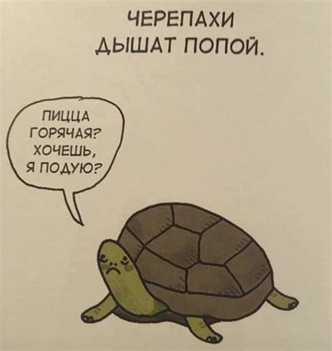 Грустные факты о животных, от которых становится смешно » Sivator.com ...