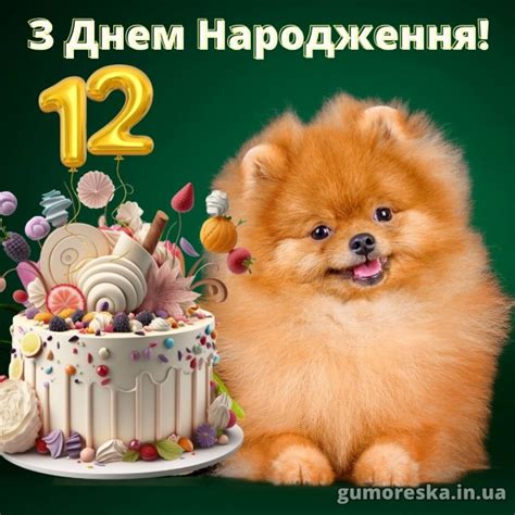 Привітання з Днем Народження хлопчику 12 років – читати онлайн