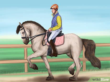 teach  horse  piaffe  steps  pictures
