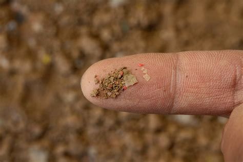 Plastic not-so-fantastic – Micro and nanoplastics in the food chain ...