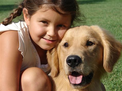 UKC Member Forums: Engage with Fellow Breeders, Owners, and Kennel Enthusiasts 3