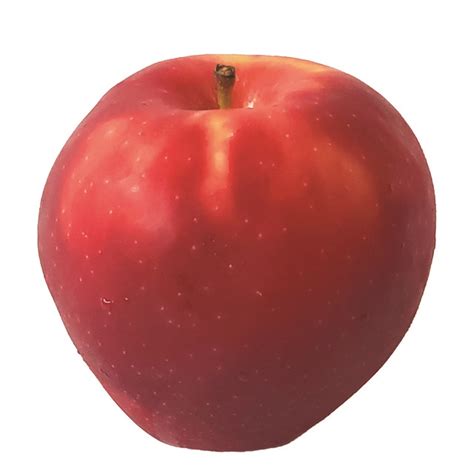 Apple Food Healthy - Free photo on Pixabay - Pixabay